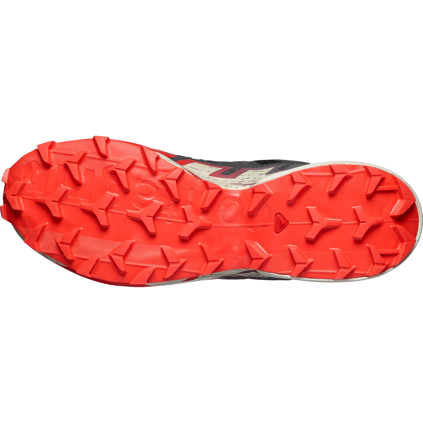 Salomon SPEEDCROSS 6 Men's Trail Running Shoes